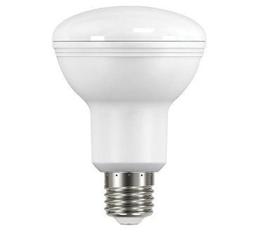 3A 12W Edison LED Globe R80